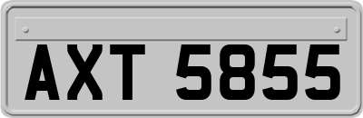 AXT5855