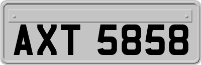 AXT5858