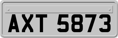 AXT5873