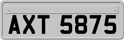 AXT5875