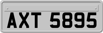 AXT5895