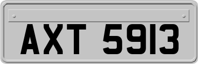 AXT5913