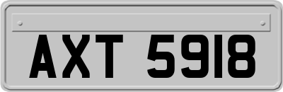 AXT5918