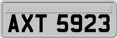 AXT5923