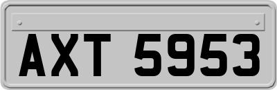 AXT5953