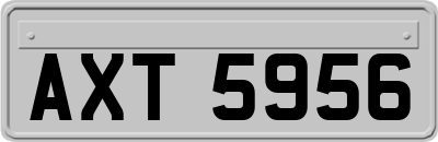 AXT5956