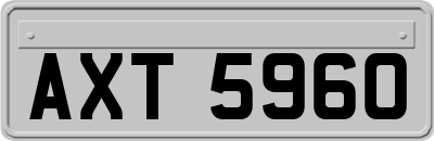 AXT5960