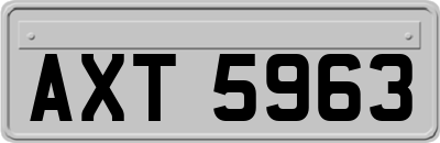 AXT5963