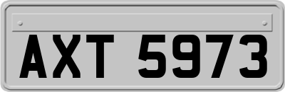 AXT5973