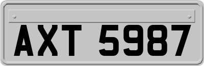 AXT5987