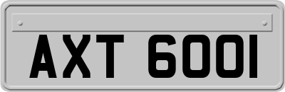 AXT6001