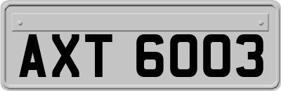 AXT6003