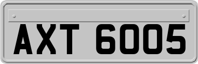 AXT6005