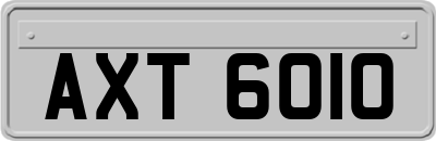AXT6010