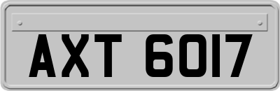 AXT6017