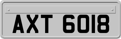 AXT6018