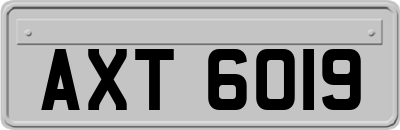 AXT6019