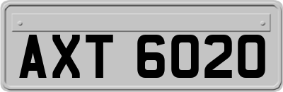 AXT6020