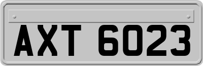 AXT6023