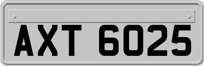 AXT6025