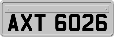 AXT6026