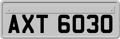 AXT6030