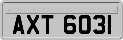 AXT6031