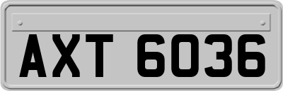 AXT6036