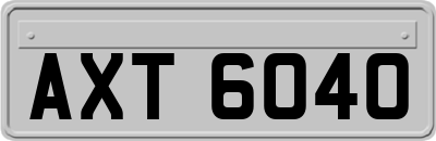 AXT6040