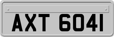AXT6041