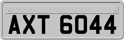 AXT6044