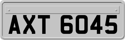 AXT6045