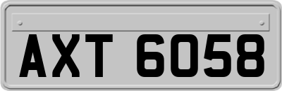 AXT6058