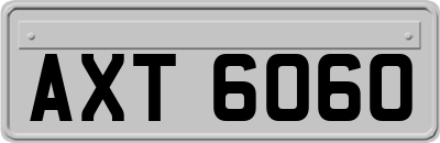 AXT6060