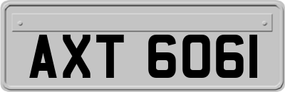 AXT6061