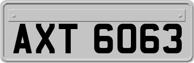 AXT6063