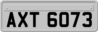 AXT6073