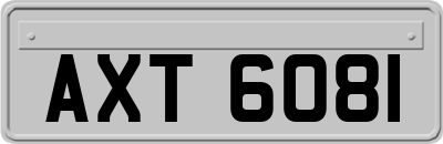 AXT6081