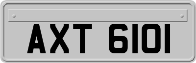 AXT6101