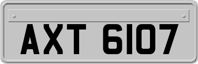 AXT6107