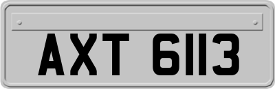 AXT6113