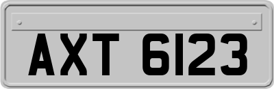 AXT6123