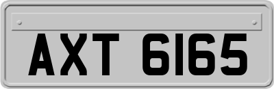 AXT6165