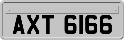 AXT6166