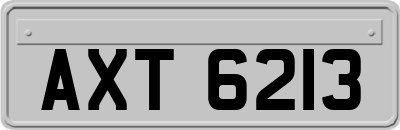 AXT6213