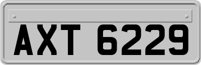 AXT6229