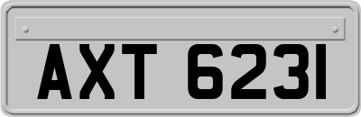 AXT6231