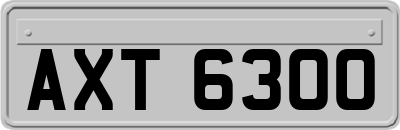 AXT6300
