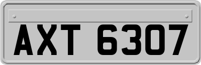 AXT6307