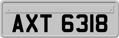 AXT6318